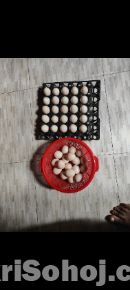 ফাউমি মুরগির বীজ ডিম